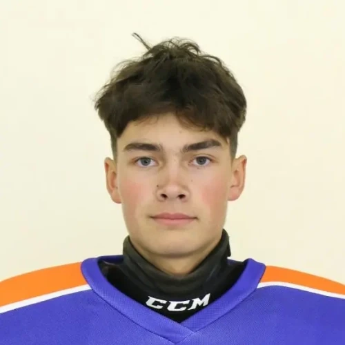 Polovnikov Artem Sergeevich