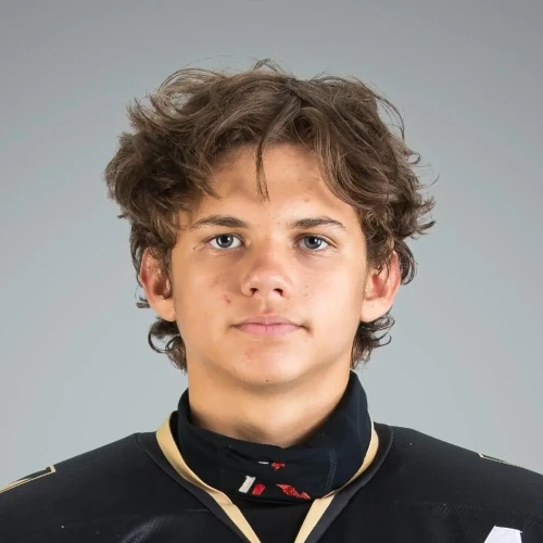 Kuzmin Dmitrii Dmitrievich