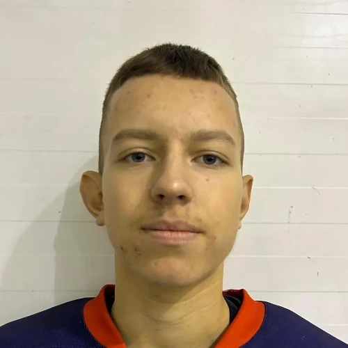 Sviridenko Nikita Romanovich