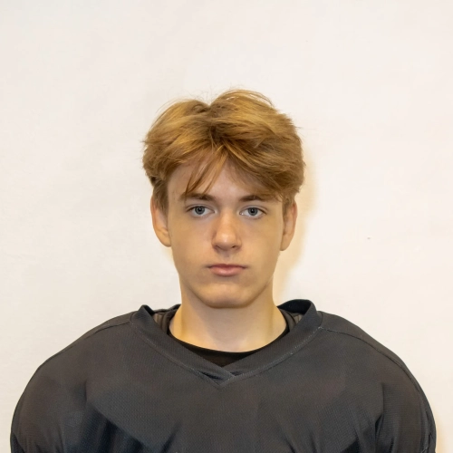 Tolokonnikov Artem Vitalevich