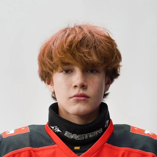 Vishnyakov Arsenii Vitalevich