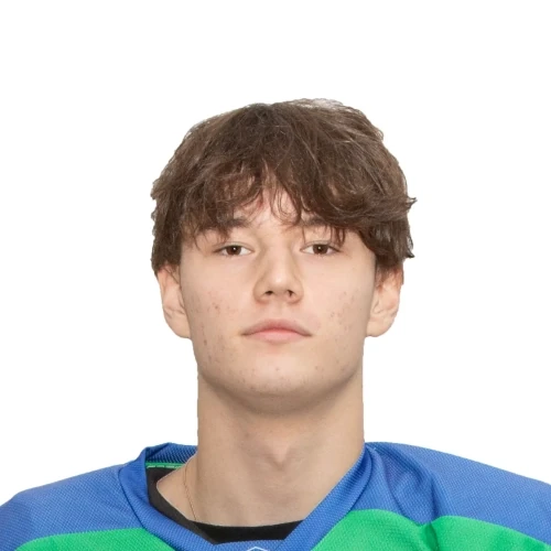Labzin Grigorii Alekseevich