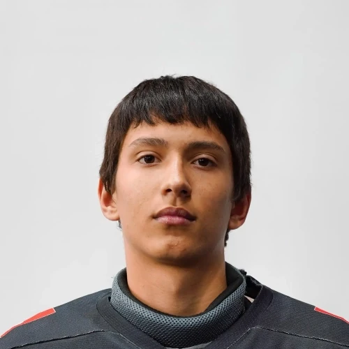 Nizovtsev Ilya Vladimirovich