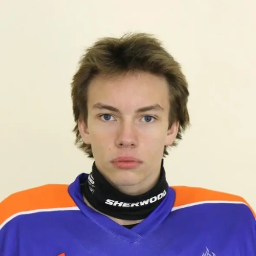 Telnov Matvei Aleksandrovich