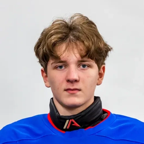 Yakovlev Artem Sergeevich