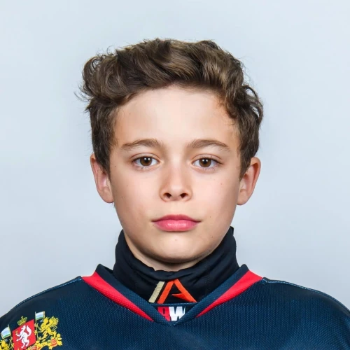 Linchevskii Matvei Denisovich