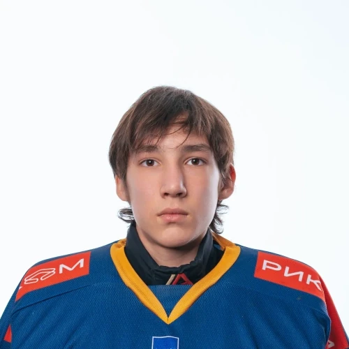 Hisamutdinov Vadim Rinatovich