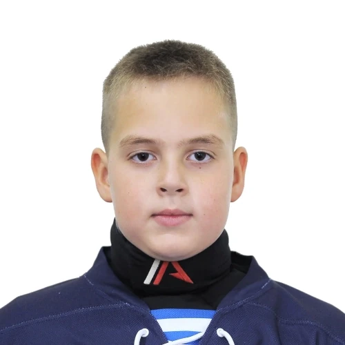 Bogomolov Nikita Pavlovich