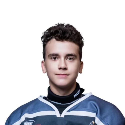 Bondar Danil Artemovich