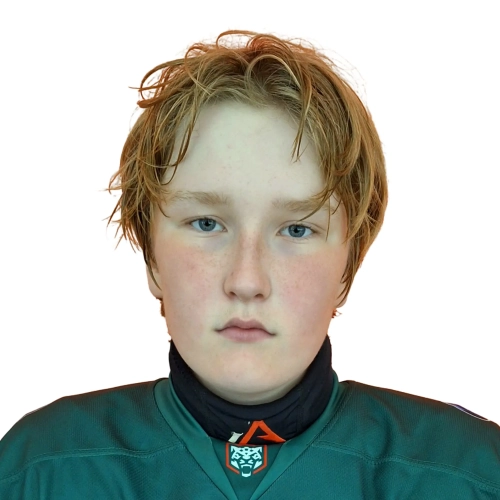 Klyuev Roman Valerevich