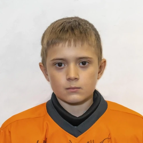 Mitrofanov Stepan Denisovich
