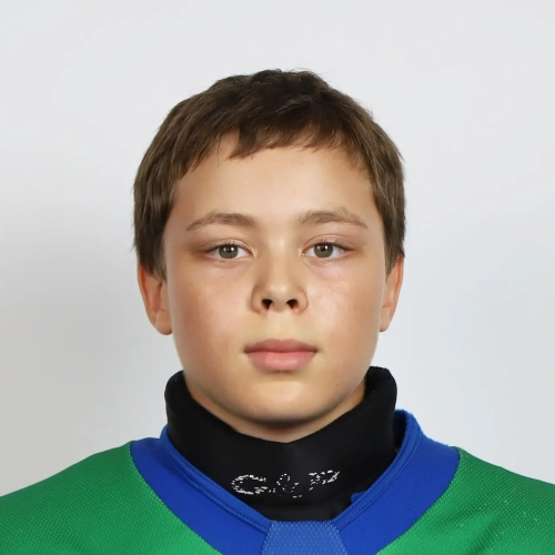 Timirgaleev Aivaz Salavatovich