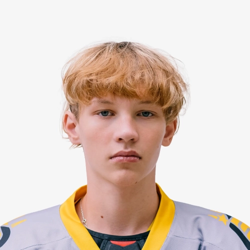 Abramov Denis Vladimirovich