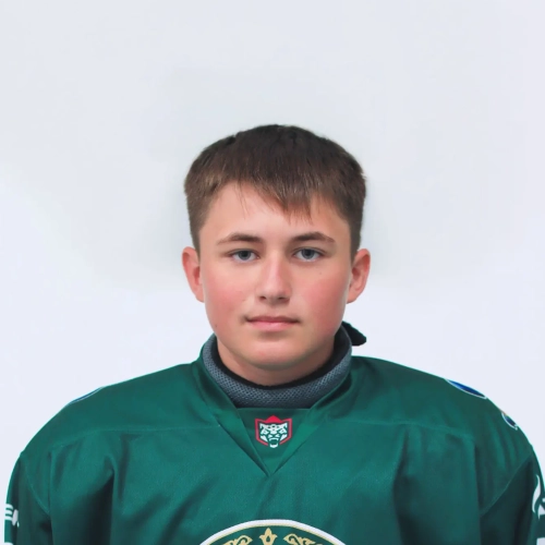 Podshivalov Yaroslav Artemovich