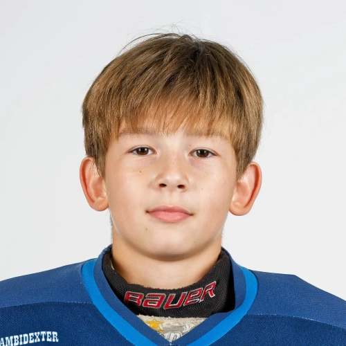 Lyamaev Denis Alekseevich