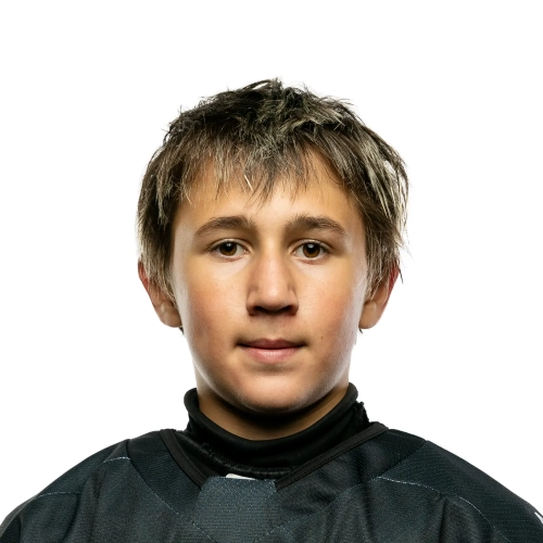 Lebedev Dominik Kirillovich