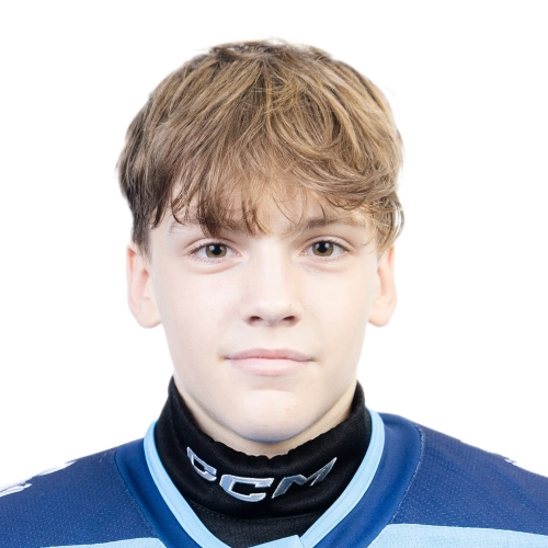 Malygin Artem Dmitrievich