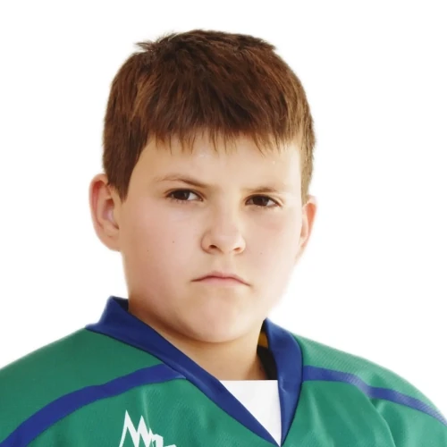 Rogozhnikov Fedor Alekseevich