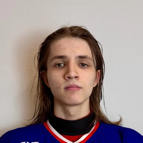 Vorozheikin Egor Andreevich