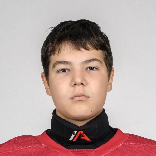 Tolovskii Dmitrii Alekseevich