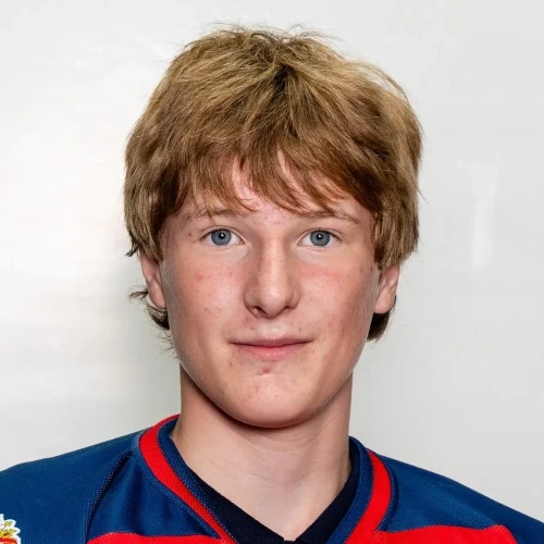 Koveshnikov Artem Maksimovich