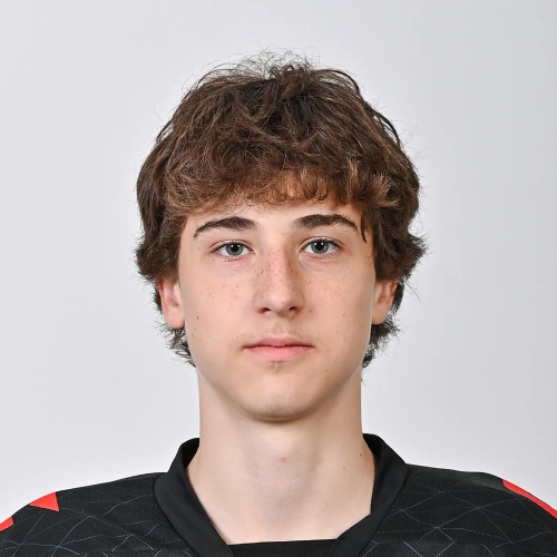 Kostromitin Stepan Denisovich