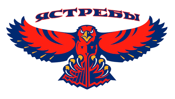 Ястребы 2013