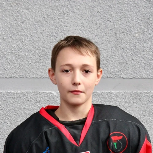 Andreev Artem Pavlovich