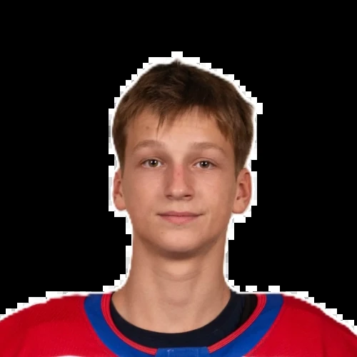 Mandrykin Timofei Aleksandrovich