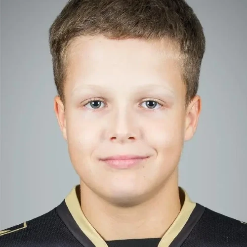 Borovoi Aleksandr Nikitich