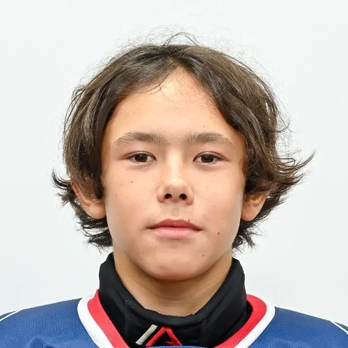 Motygullov Amir Aidarovich