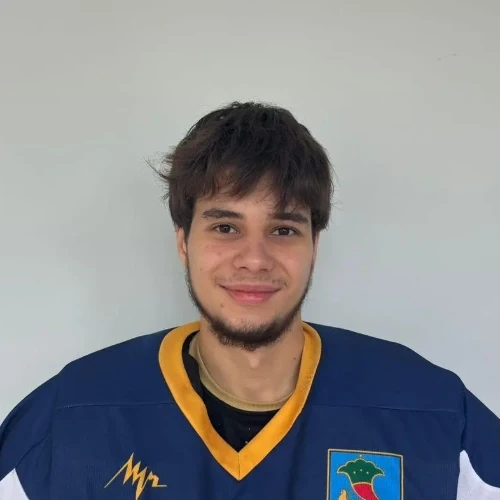 Ahmedov Radmir Rinatovich