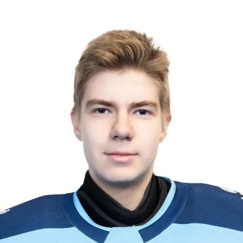 Borodich Aleksandr Sergeevich