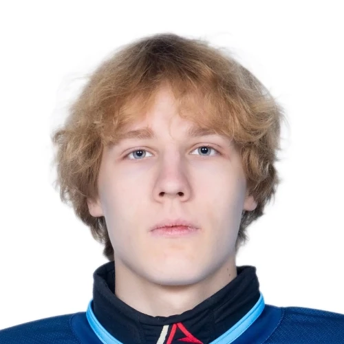 Pleshkov Dmitrii Alekseevich