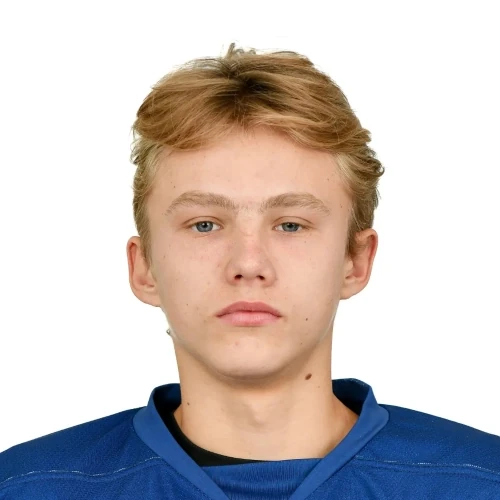 Sergienko Ivan Andreevich