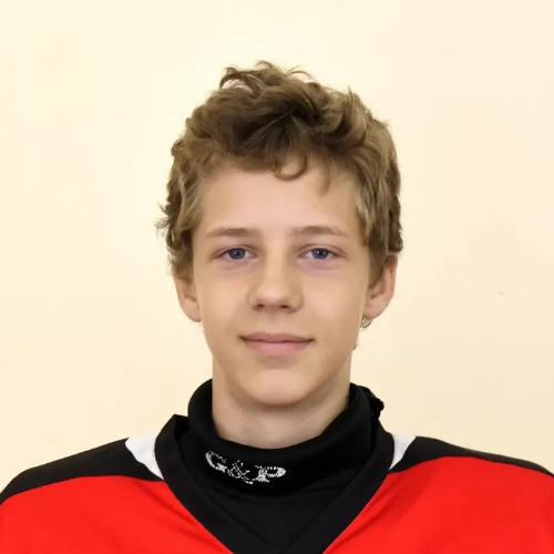Dmitriev Andrei Olegovich