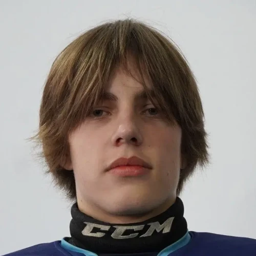 Ermolaev Andrei Aleksandrovich