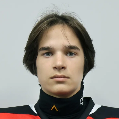 Stepanov Aleksandr Yurevich