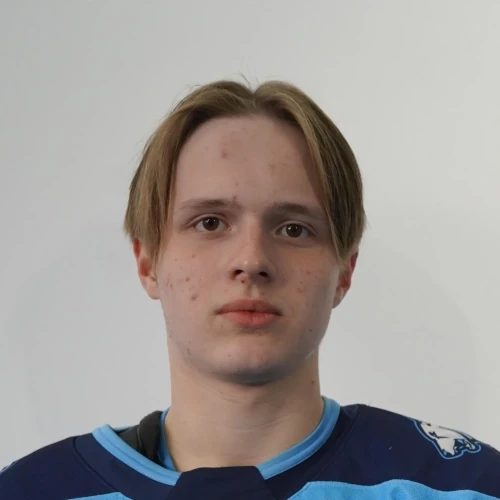 Utkin Mihail Igorevich