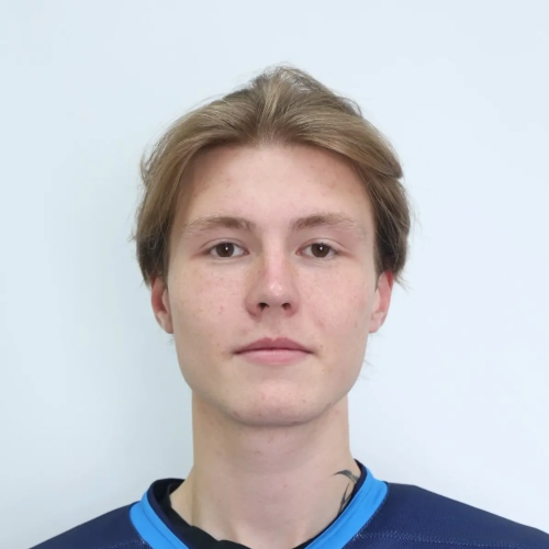 Belousov Andrei Sergeevich