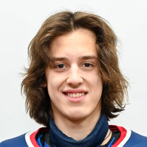 Shagimardanov Timur Renatovich