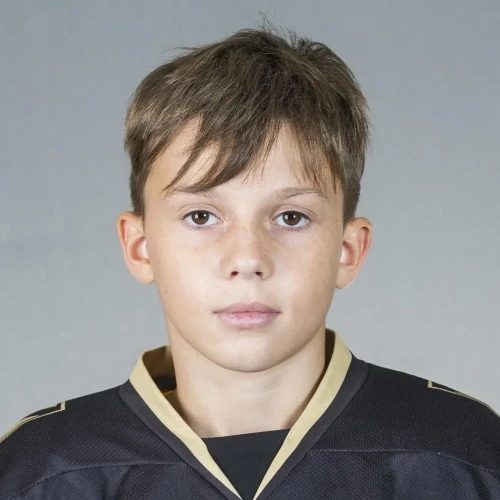 Bedenko Dmitrii Evgenevich