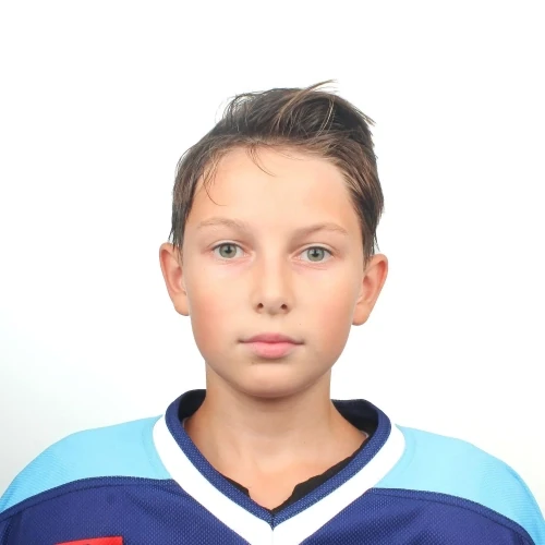 Mednikov Egor Vasilevich