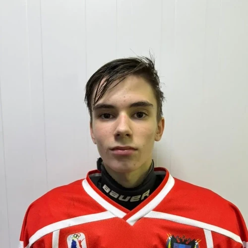 Varlamov Nikita Aleksandrovich