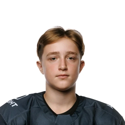 Karimov Nikita Romanovich