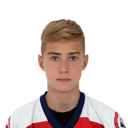 Brusnikin Timofei Andreevich
