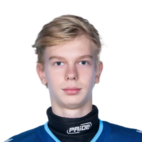 Babushkin Nikita Sergeevich