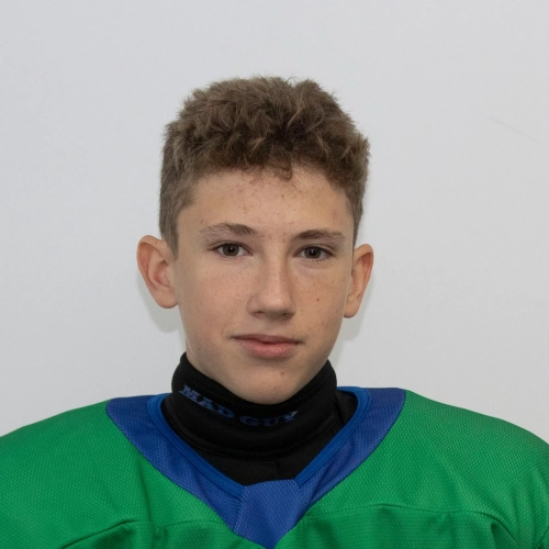 Lebedev Daniil Denisovich