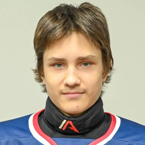 Kulikov Matvei Dmitrievich