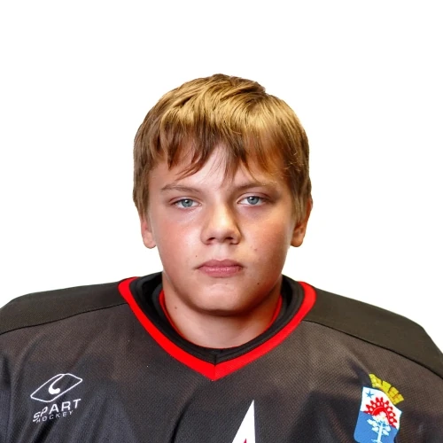 Barinov Dmitrii Sergeevich